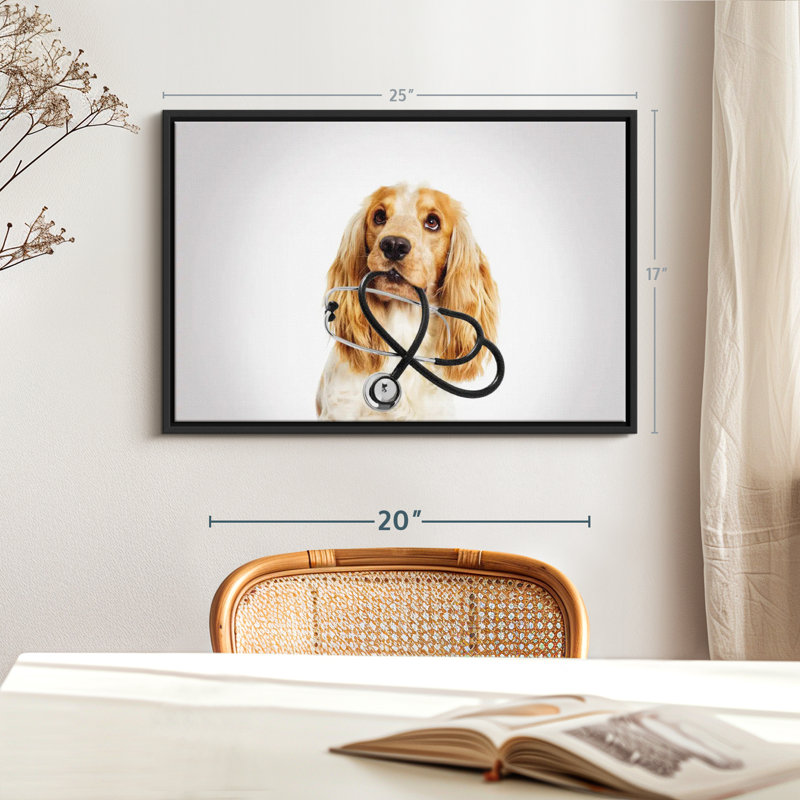 Animal «Doctor Dog», H 17 po x l 25 po
