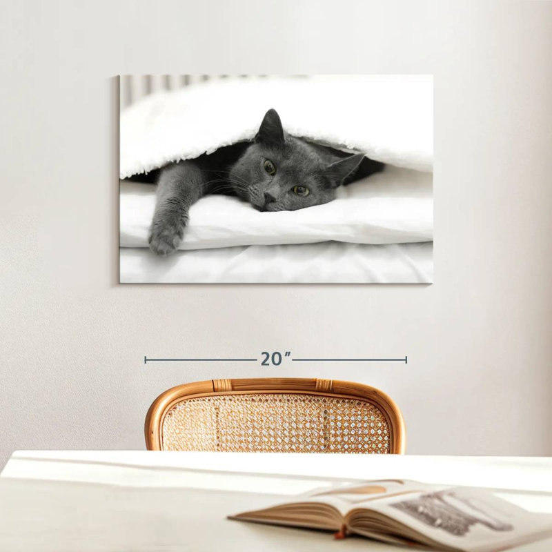 Brampt Lazy Cat, 16" H x 24" W