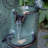 Sharmina Floor Fountain with Lights-381785808-338689885