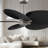 Alessandra - Five Blade Ceiling Fan-880970969-880970925