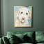 Labradoodle I, toile encadrée de qualité supérieure - prête à être accrochée-547013910-547013908