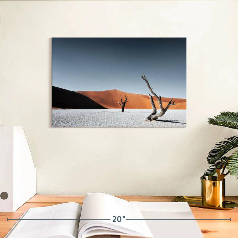 Dunes de sable d'Alvord