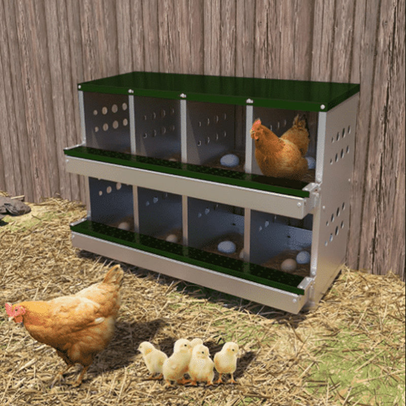 Chicken Coop with Nesting Box For Up To 10 Chickens, 61cm H x 91.4cm W x 43.2cm D, Green/Brushed Nickel