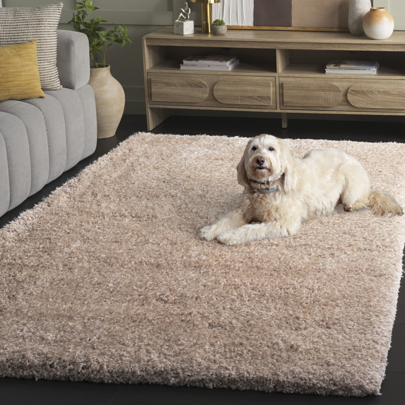 Gilcrease Shag Hand-Tufted Beige Area Rug, Rectangle 5' x 8'