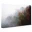 Mist Around The Forest In Abstract - Wrapped Canvas-55311203