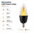 Euri Lighting LED Flame Bulb, 1W, 80 lm, 6W Eq., 1800K, E12, Black Base, UL