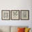 " Antique Black And White Botanical VII " 3 - Pieces-408395204-408394297