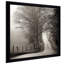 Cades Cove par Nicholas Bell - photographie-1584158180-1584158174