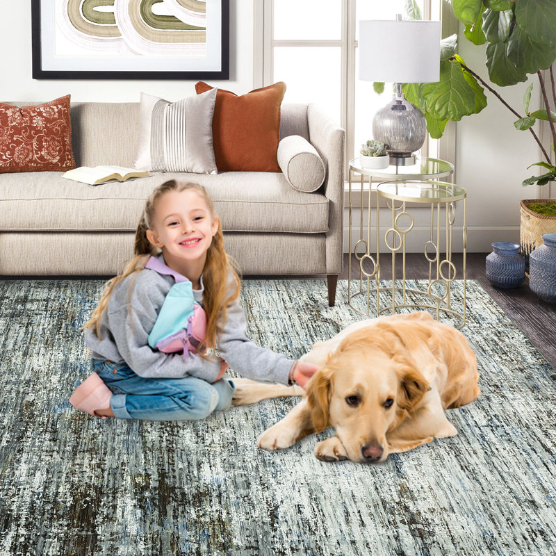 Non-Slip Machine Washable Area Rugs, Modern Abstract Rug with Non-Slip Backing for Living Room Bedroom Dining Room