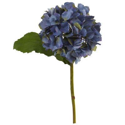 Hortensia de Vanora