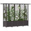 Raised Garden Bed-947567632-947567642