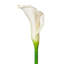 Tige de lys Calla artificiel 26 po Cauldwell-744252437-715093889