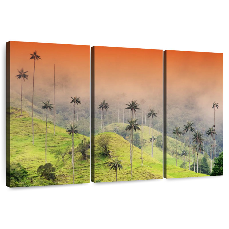 Palmiers Alvord Cocora Valley, H 32 po x l 50 po