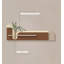 Aquarelle de couleur crème avec plantes lumineuses sur le mur-1930565199-1930565233