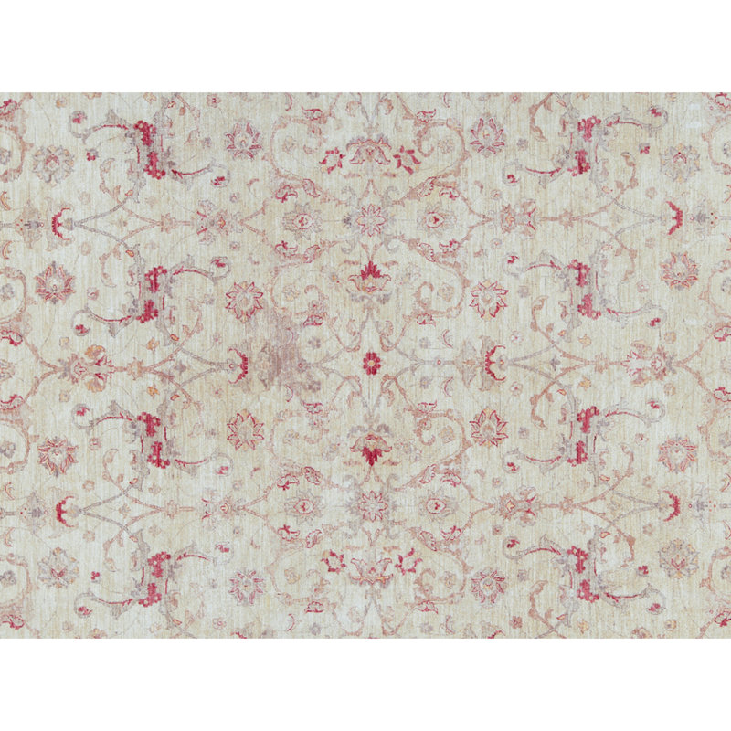 Hand-Knotted High-Quality Ivory Area Rug