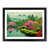 Black Framed selected