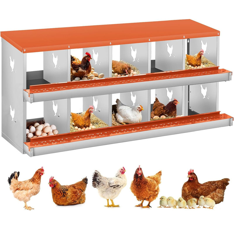 Boîte de nidification pour poulets, boîte de nidification pour poulets à 10 compartiments, boîte à œufs de poule en acier à deux niveaux avec grands trous ventilés, fixation murale pour faciliter la collecte des œufs
