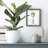 Palmea -Gallery Wrapped Canvas-778526139-778526136