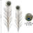 Natural 23-28'' Long Peacock Feathers (40-pack)