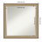 Jonnie Wall Mirror-1339672599-1339672618