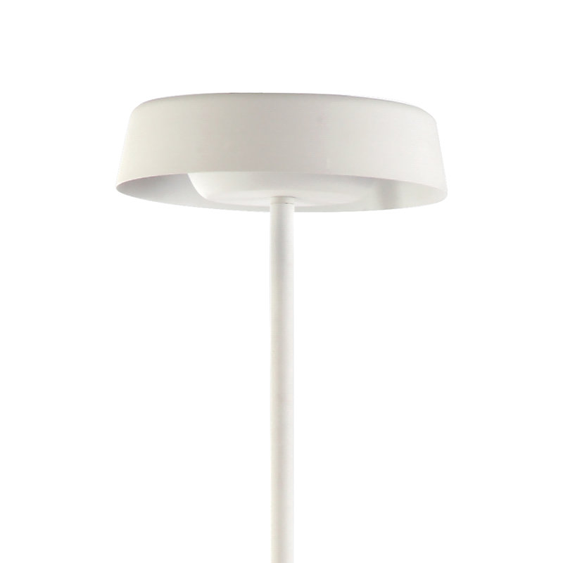 Denzel 180cm LED Torchiere Floor Lamp, Matt White