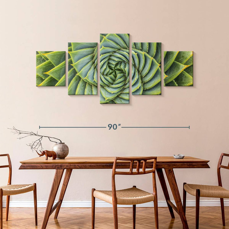 Plantes grasses en spirale, H 42 po x l 92 po