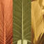 « tropical trio i », impression sur toile-20932318