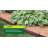 5'' H x 480'' W Black Polyethylene Plastic Lawn Edging-99013516