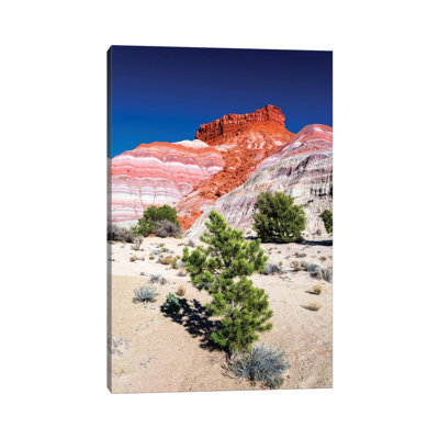 Evening light on the Cockscomb, Grand Staircase-Escalante National Monument, Utah, USA 1 Piece Wrapped Canvas Wall Art