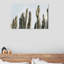 Cactus en sourdine - reproduction de photo sur toile tendue-31103198-67767850