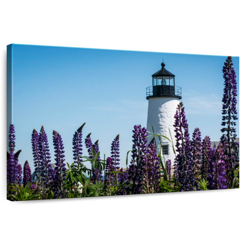Jardin et phare Lilie Lupin, H 30 po x l 45 po
