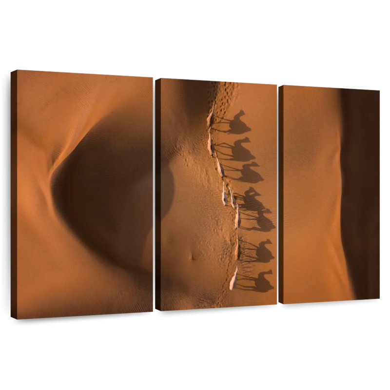 Alvord Desert Camel Shadows, 48" H x 74" W