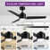 Modern 48" Ceiling Fan with Light and 3 Blades