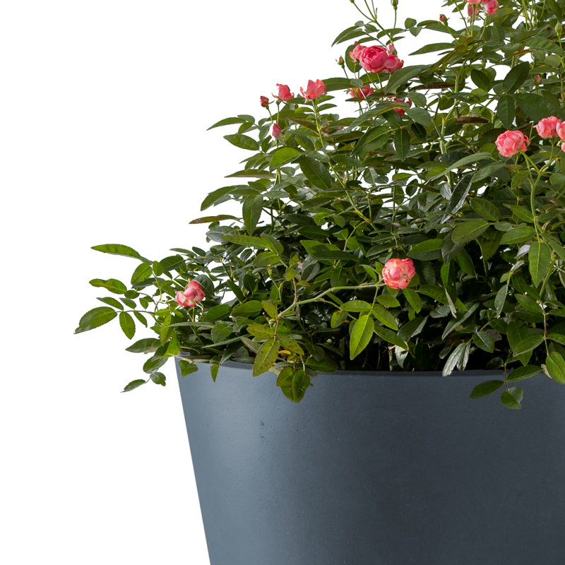 Waitman Pot Planter, Charcoal