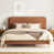 Brun / Beige
