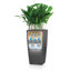 Cubico Pot Planter-16493083-16493085