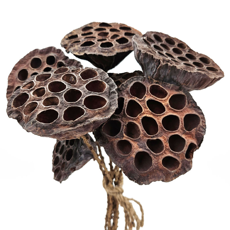 Rope Lotus Pod  Set of 6  23.5"  Natural
