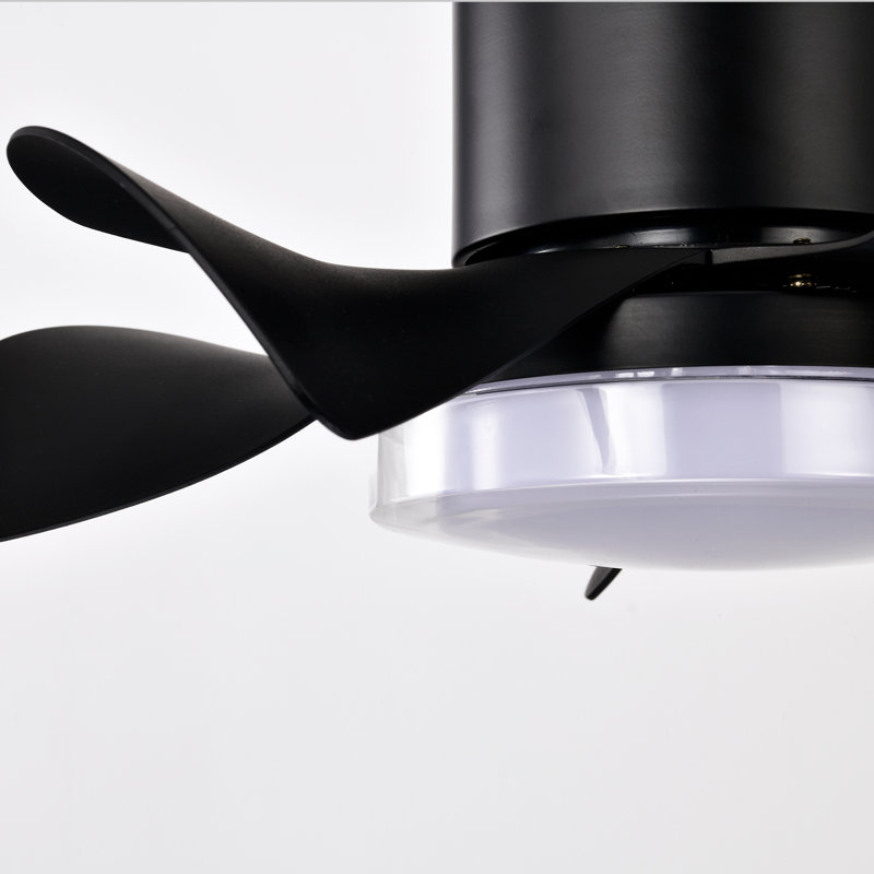 Ventilateur de plafond à DEL 21 po, Noir