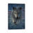 Wolf Splash America by Collin Bogle - Wrapped Canvas Painting