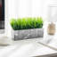 23.11cm Faux Onion Grass Grass