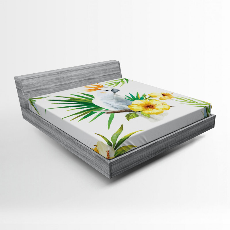 Drap-housse perroquet, Double
