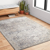 Cudahy Oriental Area Rug in Gray