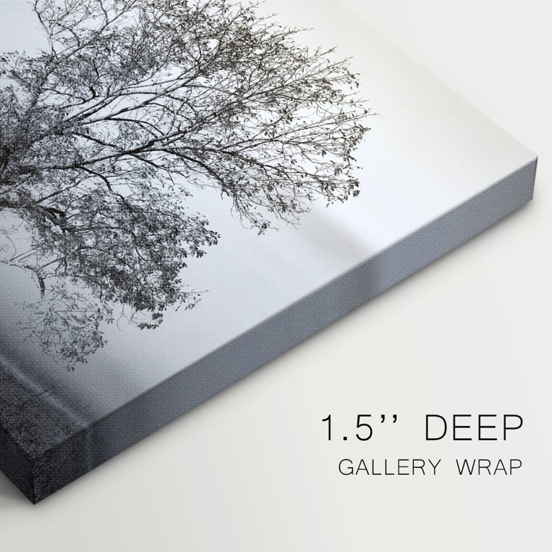 Clearing Fog -Gallery Wrapped Cavas, 32" H x 48" W