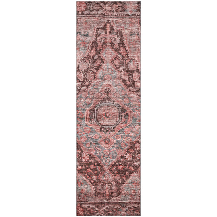 Premium Machine Washable Lucchesi AMF1761 Border Rug