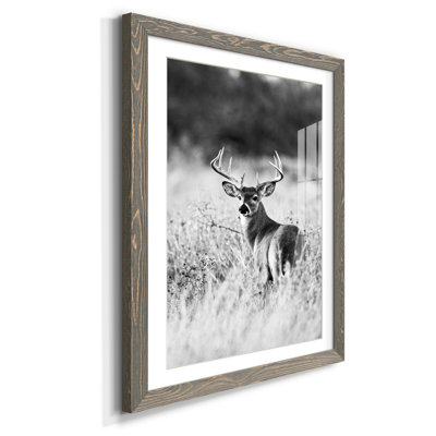 Grasslands - reproduction de photo