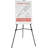 Audio-Visual Direct Adjustable Folding Easel