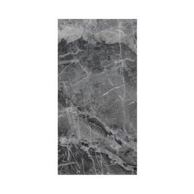 Titan 48-in x 96-in Shower Wall Panel, Maelstrom Grey (Glossy), TW4896-KI63G