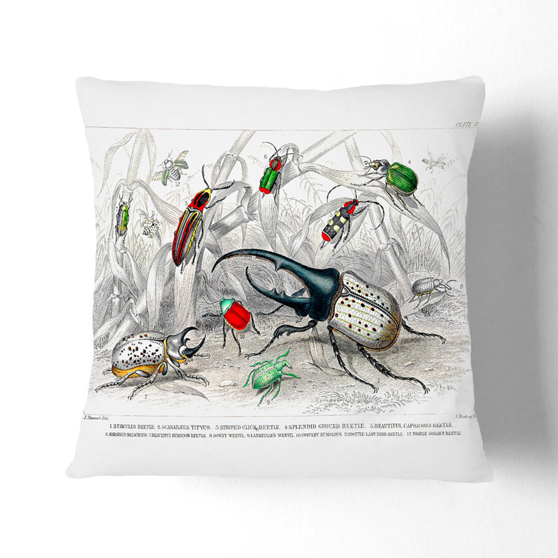 Square Throw Cushion, 55 x 55 cm