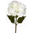Hydrangea Arrangement-29312154