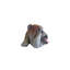 Statue taille réelle Comic Bulldog
